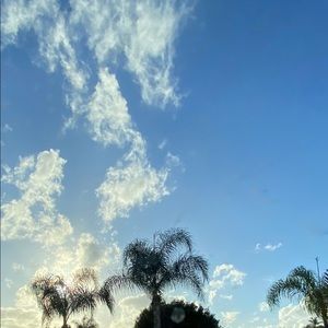 Meet your Posher, Maddie